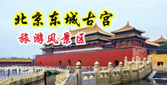 羞羞答答影院八戒影院中国北京-东城古宫旅游风景区
